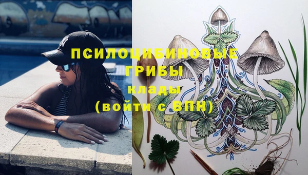 первитин Абинск