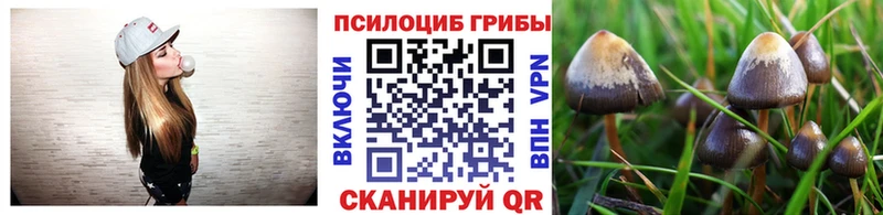 Псилоцибиновые грибы GOLDEN TEACHER наркота darknet клад Липецк