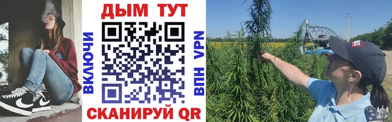 купить   Липецк  МАРИХУАНА Ganja 